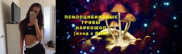 стафф Богданович